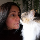 Profilbild für Anke S