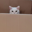 Profilbild für Heike H