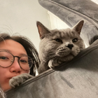 Profielfoto voor Sandra L