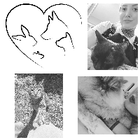 Profilbild für Daniela G