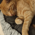 Profilbild für Cecilia G