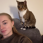 Profilbild für Laura S