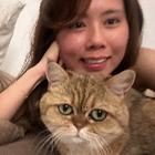 Profilbild für Yuyu H