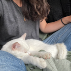 Avatar pour Bettina (Betty) S