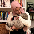 Profilbild für Areeba M