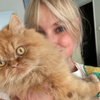 Profielfoto voor Josefin P