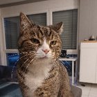 Profilbild für Nele F
