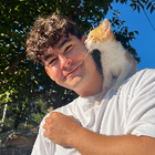 Profilbild für Fabio P