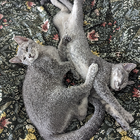 Profilbild für Katja G