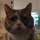 Profilbild für Sarah M