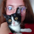 Avatar pour Clémentine B