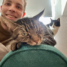Profilbild für Fabian E
