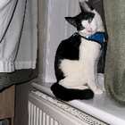 Avatar for larisa-roxana b