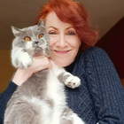 Profilbild für Cindy V
