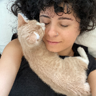 Profilbild für Roya F