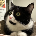 Profilbild für Lexi C