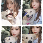 Avatar for Jingjing L