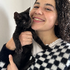 Profilbild für Litcelott U