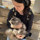 Profilbild für Vivien D