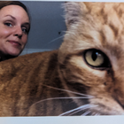 Profilbild für Stefanie A