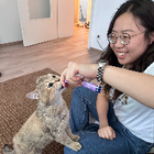Profilbild für Ruyue W