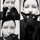 Profilbild für Sina W