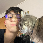 Profilbild für Catalina Q