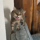 Profilbild für Lea S