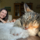 Profilbild für Josi W