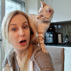 Profilbild für Lisa H