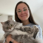 Profilbild für Julie S