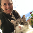 Profilbild für Luise G