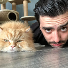 Profielfoto voor Arash E