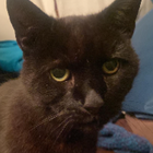 Avatar for Tristan B