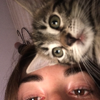 Avatar pour Cécilia H