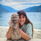 Profilbild für Gamze B
