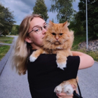 Profielfoto voor Linnea K