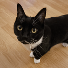 Avatar pour Sébastien g