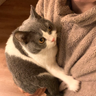 Profilbild für Szetim Y