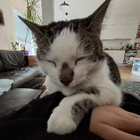 Profilbild für Luis S