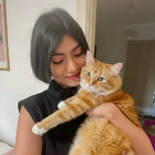 Profilbild für Sapphira K