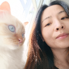 Profilbild für Xuying Y