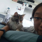 Profilbild für Hui C