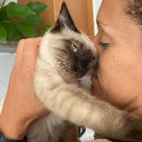 Profilbild für Neuza V