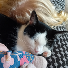 Avatar for Georgia C